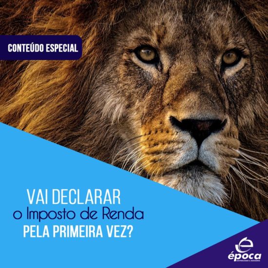 54255356_2252847471669648_8541015670412804096_n