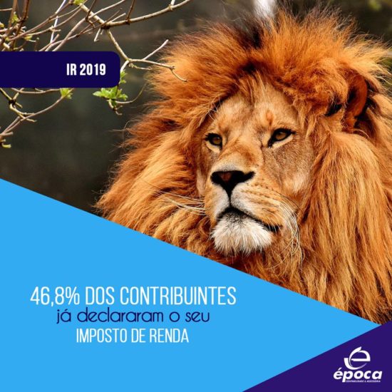 57502913_2275025159451879_151628314237206528_n